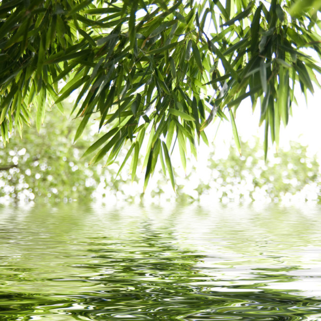 TCM Hannover, Traditionelle Chinesische Medizin Hannover, Schmerztherapie Hannover