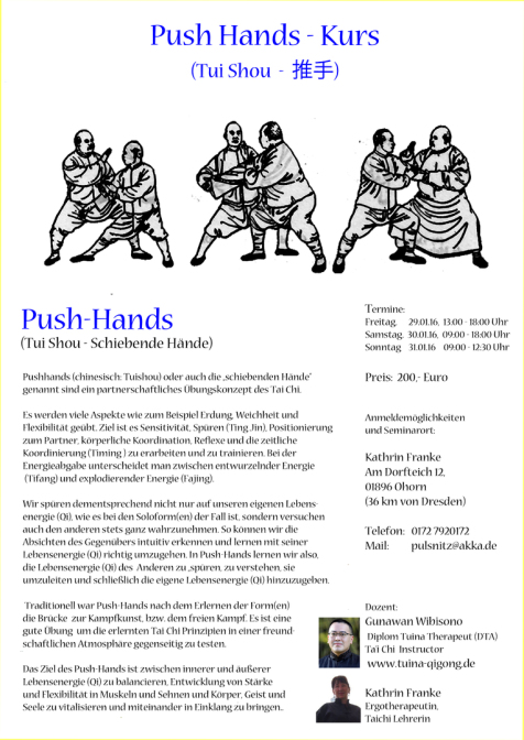Push Hands Kurs 2016, Push Hands Seminar 2016