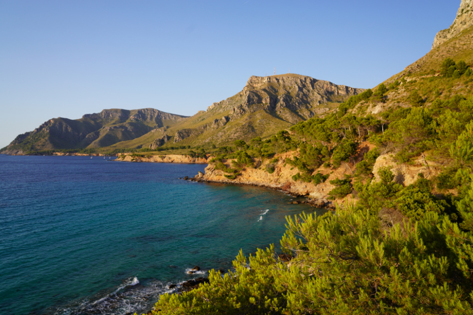 My happy living trifft TAO Mallorca 2025